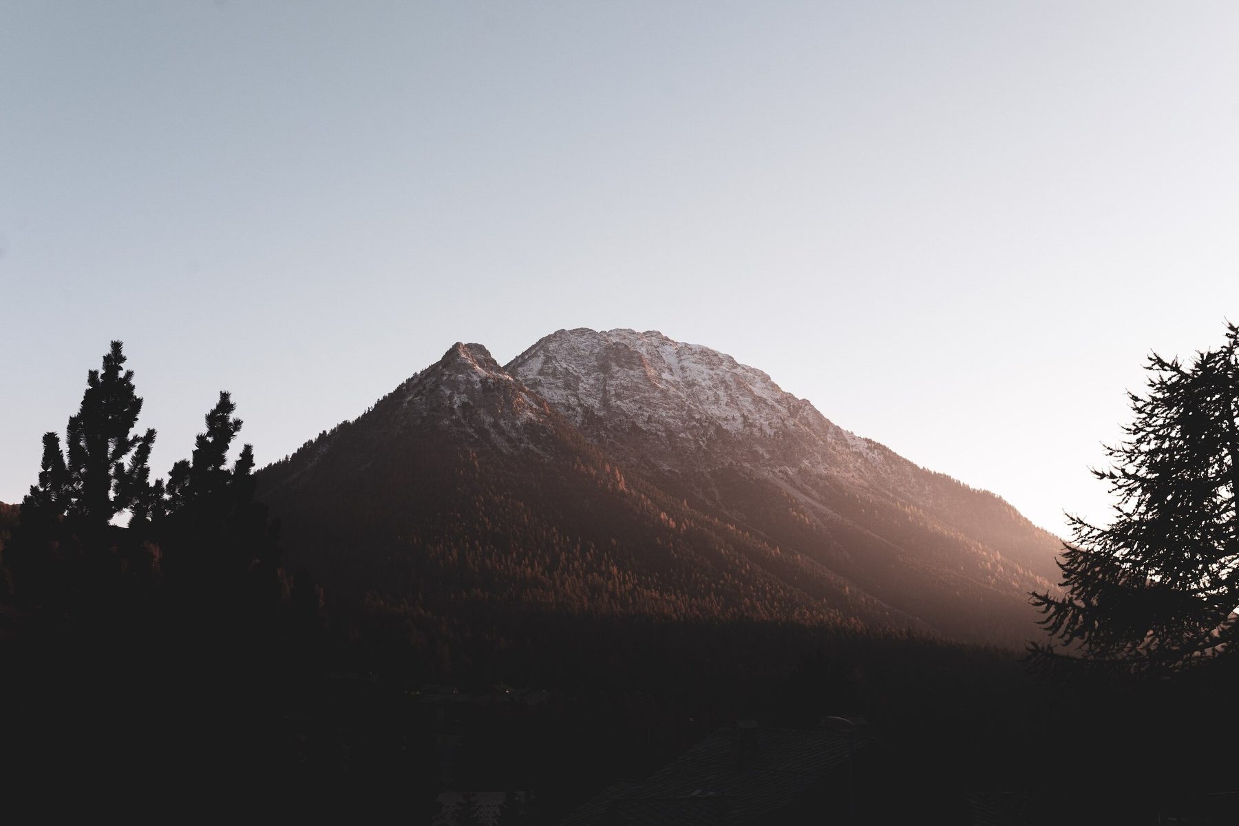 A snow-dusted Alpine summit above larch forest at dusk, seen from the valley floor.